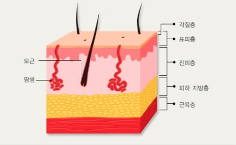 성동구 점빼기 피부과 흉터를 피하려면 확인하세요 관련 이미지 3