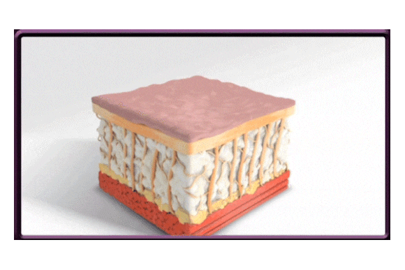 왕십리 리프팅, 올리지오 팔자주름 개선 시술 후기 관련 이미지 4