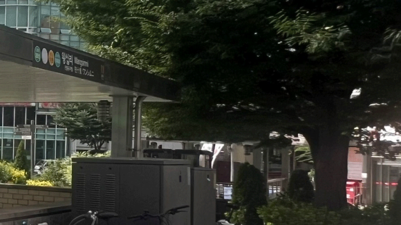 성동구 왕십리 목 릴흑피증(릴흑색증) 실제 치료 사례 관련 이미지 12