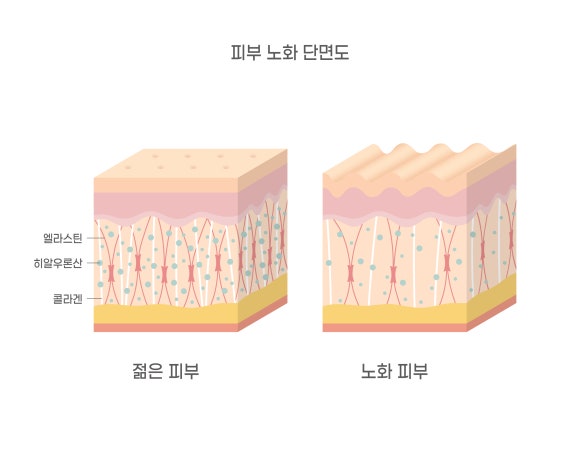 한자리에서만 10년, 이제서야 환자분들께 전해드리는 진심 - 왕십리 유앤아이피부과의원 관련 이미지 9