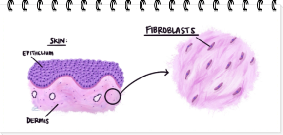 왕십리점빼기, 흉터가 걱정된다면? 관련 이미지 5
