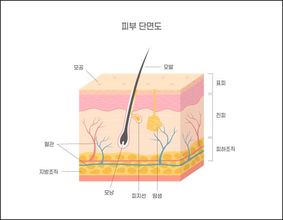 왕십리역 피부과, 반드시 확인해야 하는 2 가지? <필독> 관련 이미지 3