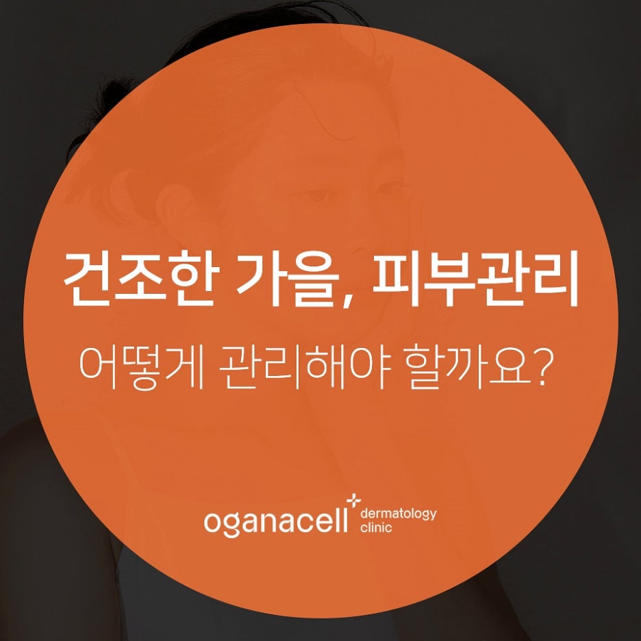 가을철 건조한 피부 관리방법 극복하려면 관련 이미지 1