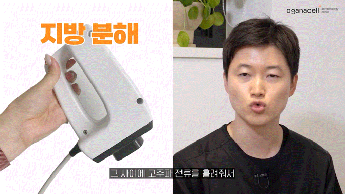 동대문인모드 라인을 오래 유지하려면 관련 이미지 8