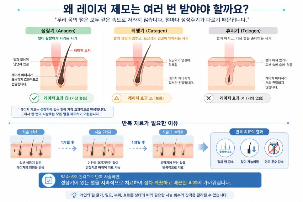 [영등포 피부과전문의] 제모 몇 번 해야 없어지나요? 관련 이미지 2