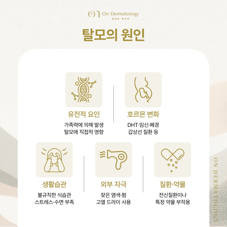 잠실역 탈모클리닉 치료를 위한 벨라룩스 라이트 & 탈모 모낭주사 장점은? 관련 이미지 3