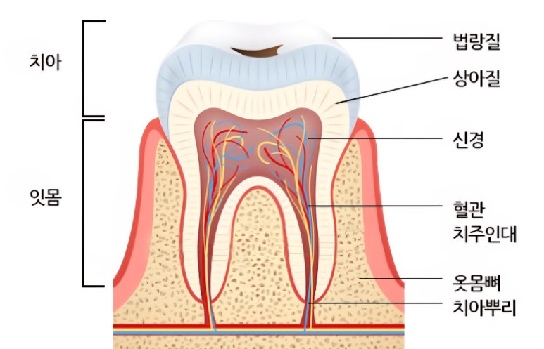 무삭제라미네이트 추천 대상, 블랑쉬는 이런 분들을 위해 만들어졌습니다. 관련 이미지 8