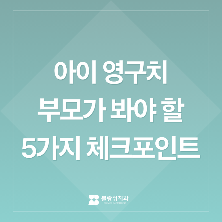 영구치 갯수, 흔들림, 결손까지ㅣ아이 영구치 나오기 시작했다면 부모가 봐야 할 5가지 관련 이미지 1