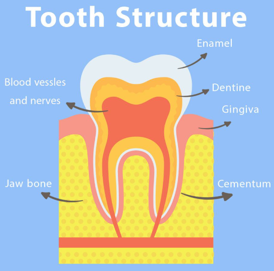 라미네이트부작용을 막는 3가지 비밀 - 대표원장 작성 관련 이미지 3