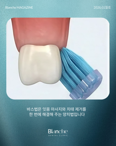 양치할 때 "이것"만 보고 따라하시면 치과 오는 일 적어집니다 관련 이미지 8