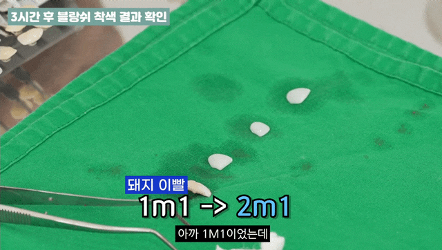 블랑쉬 착색&내구성 테스트, 제가 직접 해봤습니다 관련 이미지 6