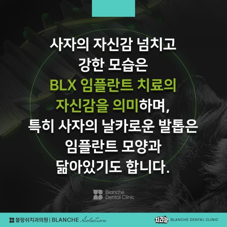 수면임플란트센터, 프리미엄 임플란트 진료는 블랑쉬치과(Blanche Dental Clinic) 관련 이미지 20