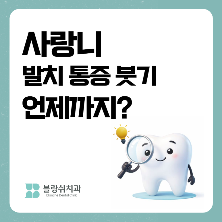 사랑니 발치 통증 붓기 언제까지?블랑쉬에서 알려드림 관련 이미지 2