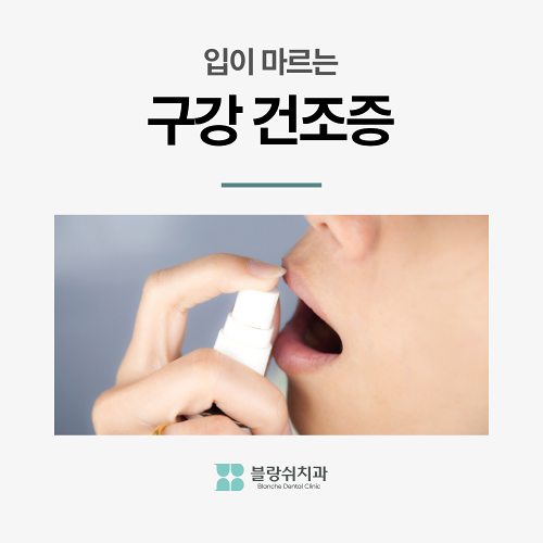 압구정 치과 50대 이후 치아 관리 이것만은 꼭 관련 이미지 5