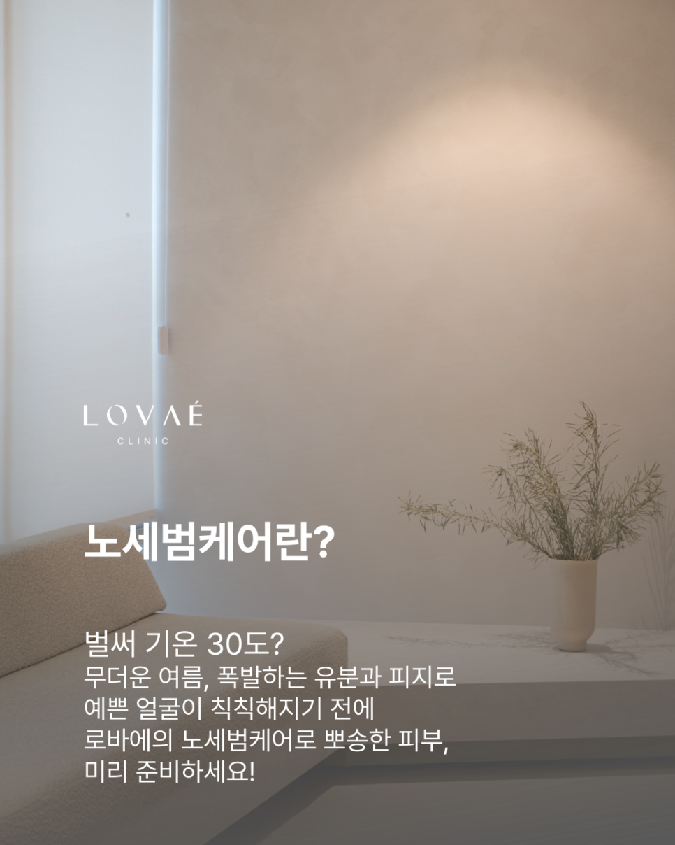 여름 여드름 피지폭발? 노세범케어로 뽀송하게 진정시키기 | 홍대 피부과 로바에의원 관련 이미지 2