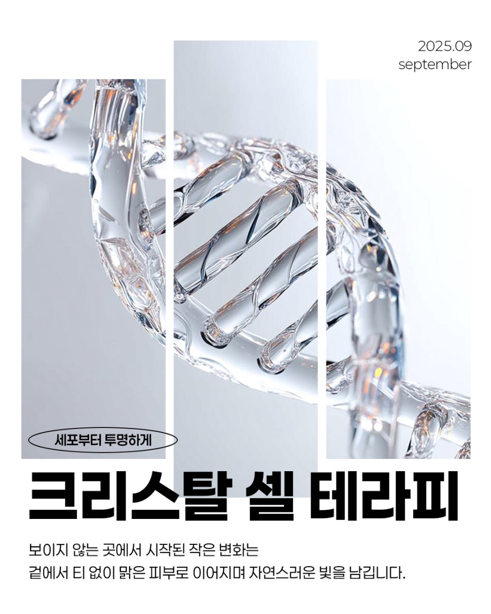 9월 월간피부|리쥬란 + 톤업부스터에 피코토닝,LDM까지 |로바에 크리스탈 셀 테라피 관련 이미지 1