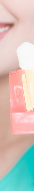 강남 임플란트 재수술, 어떤 경우에 필요할까 관련 이미지 12