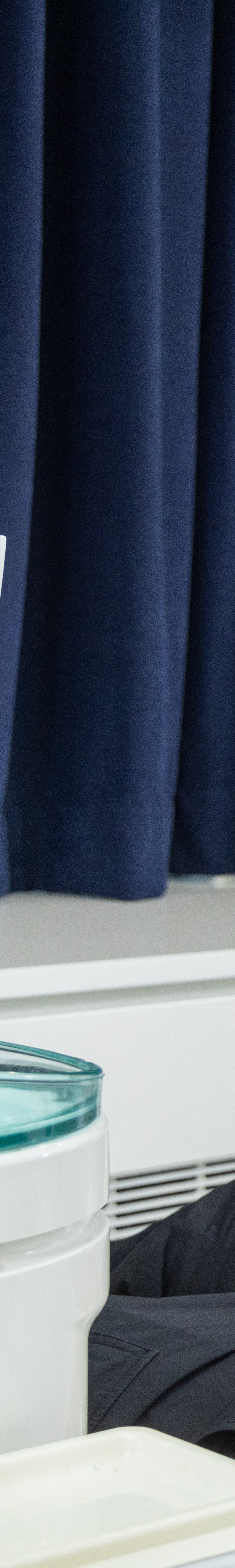 잇몸질환의 종류 출혈이 있을 때 예방방법 관련 이미지 18