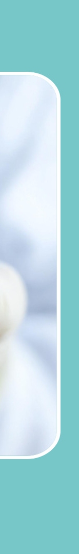 강남역치과 임플란트 뼈이식, 흡연과 음주가 미치는 영향은? 관련 이미지 15