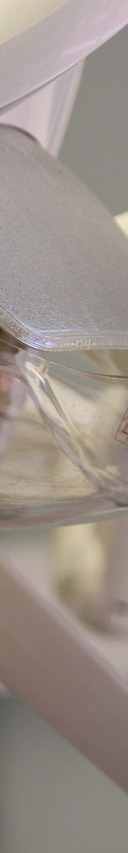 올바른 양치질 방법, 똑똑한 치아관리 관련 이미지 16