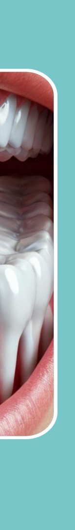 논현역치과 구강건조증 원인과 증상, 치료법 정리 관련 이미지 16