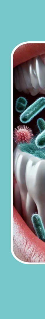 논현역치과 구강건조증 원인과 증상, 치료법 정리 관련 이미지 10