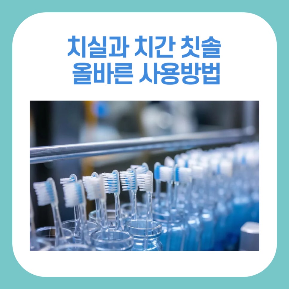 치실과 치간 칫솔 올바르게 사용하기 관련 이미지 1