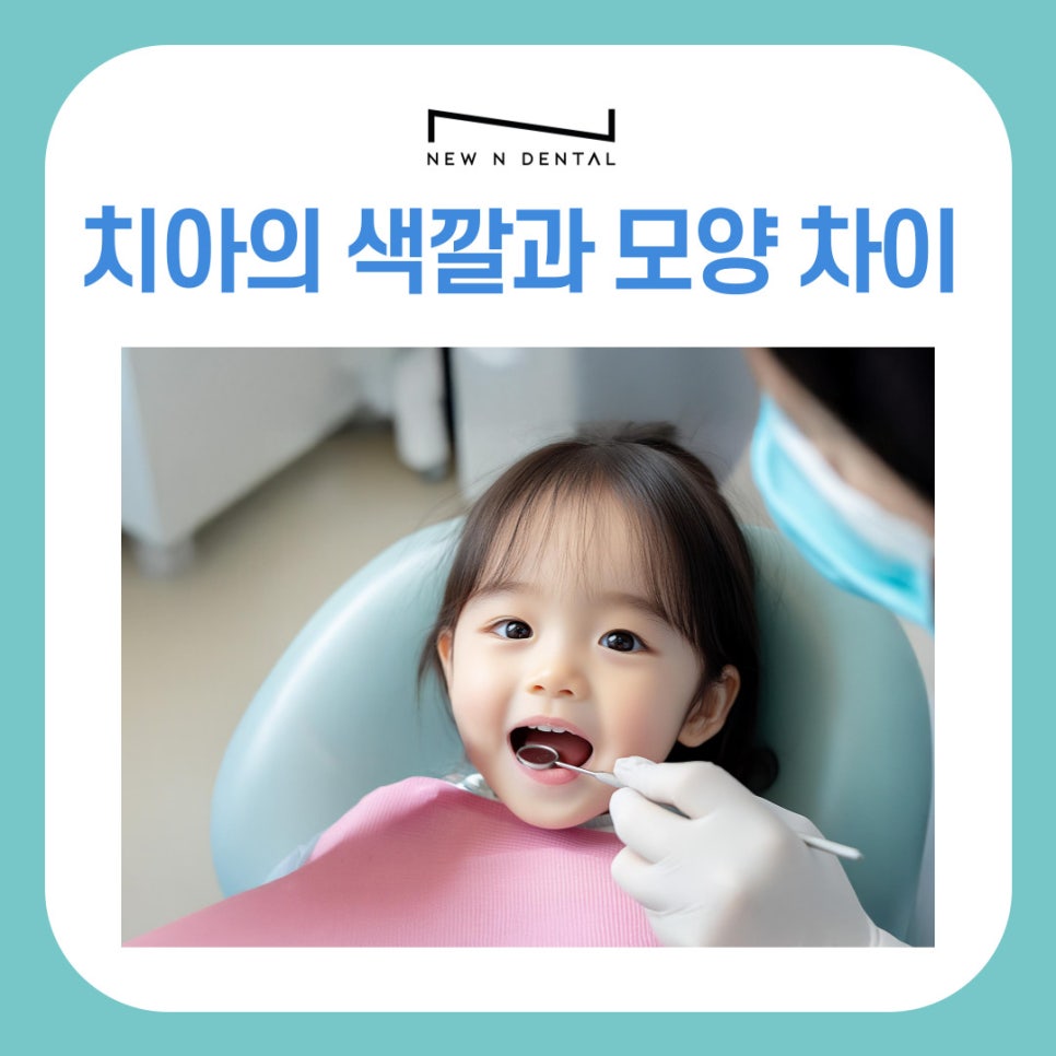 Gangnam Station Dental Clinic: Loose Permanent Teeth, How to Tell Baby Teeth from Permanent Teeth image 5