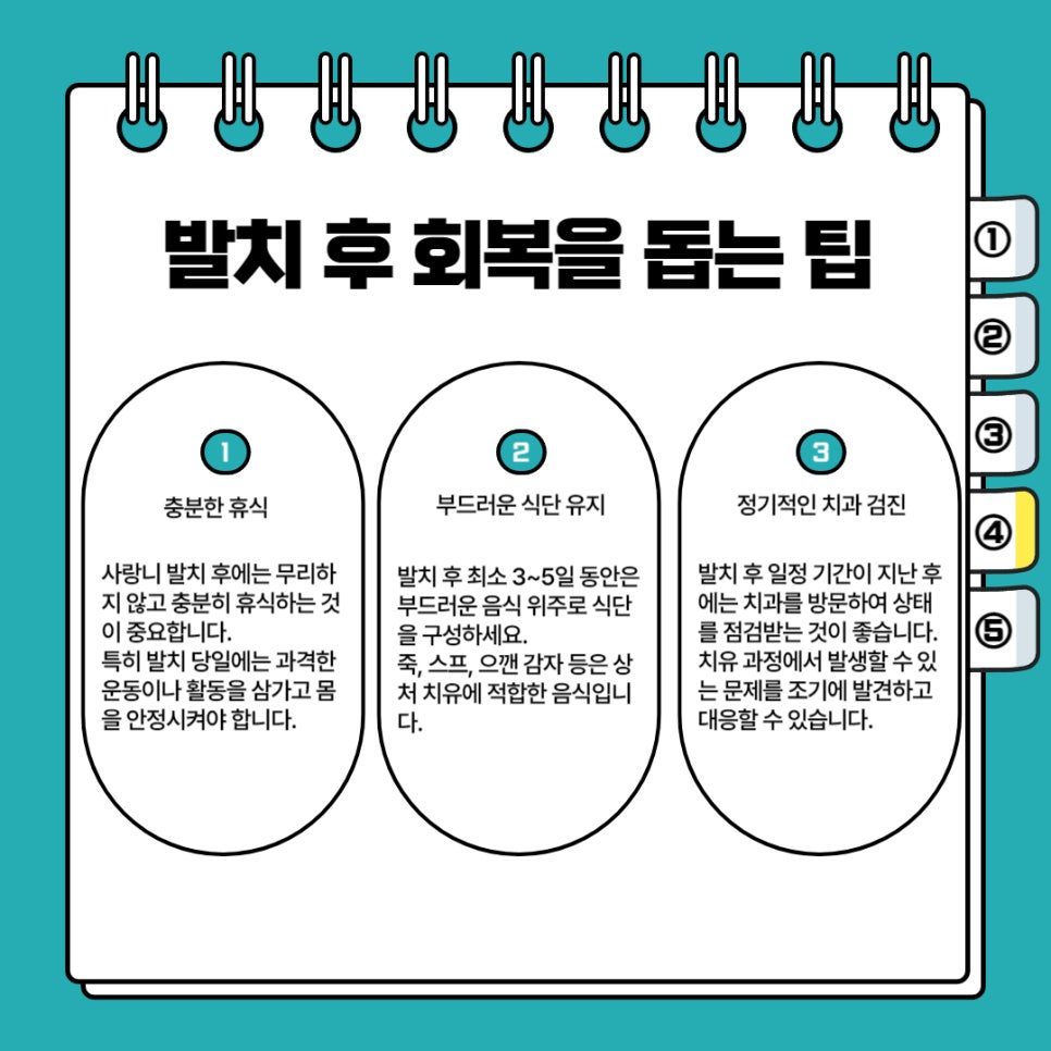 사랑니 발치 전 후 관리법 꿀팁 관련 이미지 5