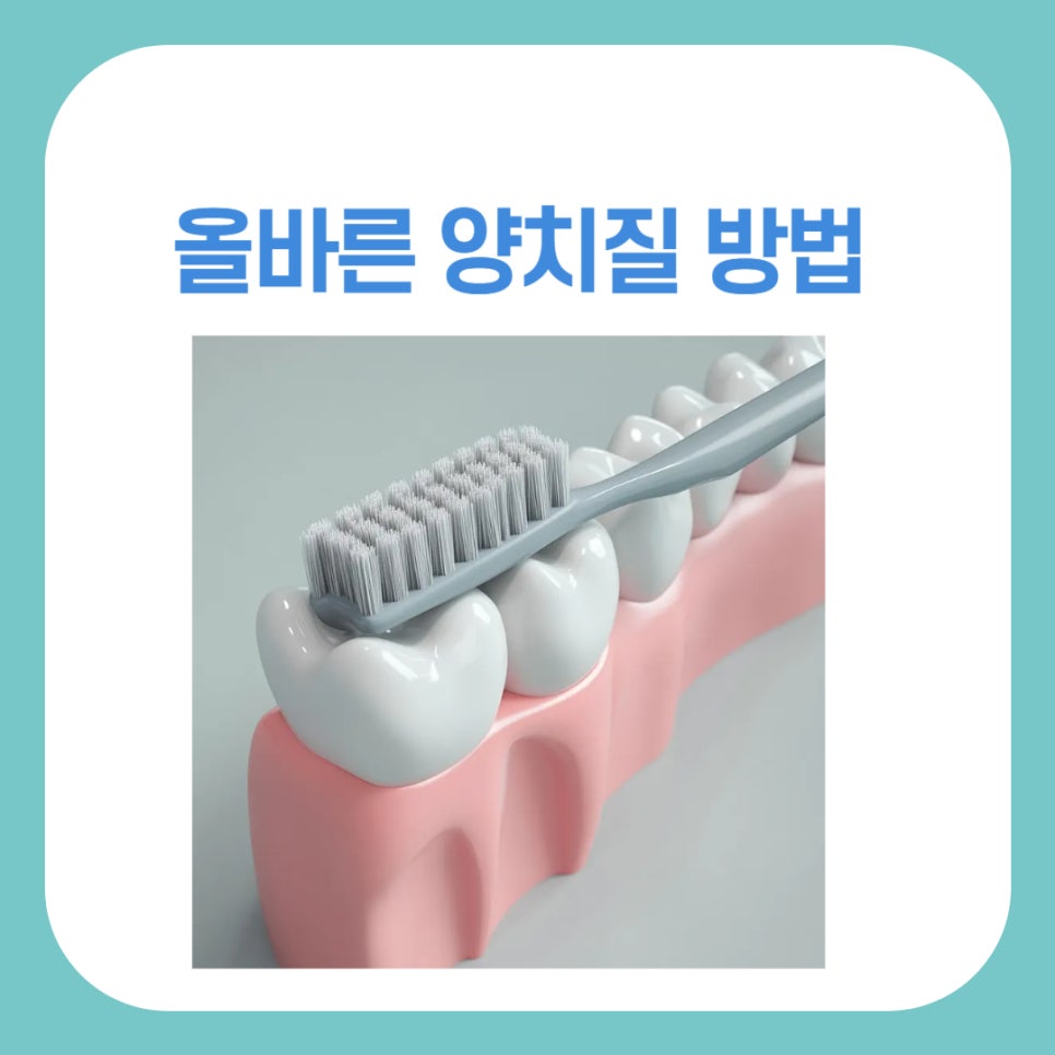 올바른 양치질 방법, 똑똑한 치아관리 관련 이미지 1