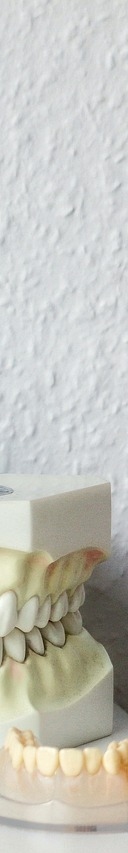 이시림 증상 원인 및 예방 방법 관련 이미지 24