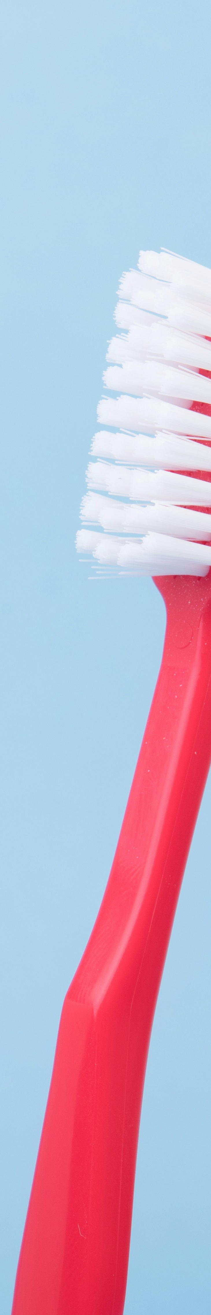 신경치료로 치아를 지키는 방법 관련 이미지 13