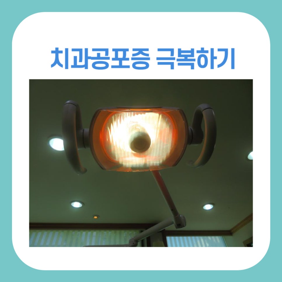 치과공포증 두려움을 줄이고 건강을 지키는 방법 관련 이미지 1