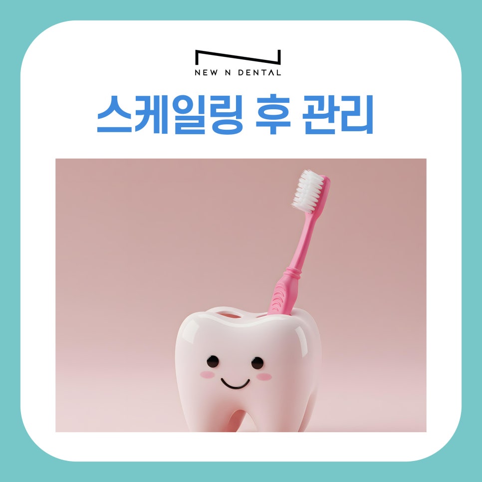신사동 치과 스케일링후 관리 방법과 주의사항 관련 이미지 2