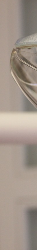 올바른 양치질 방법, 똑똑한 치아관리 관련 이미지 12