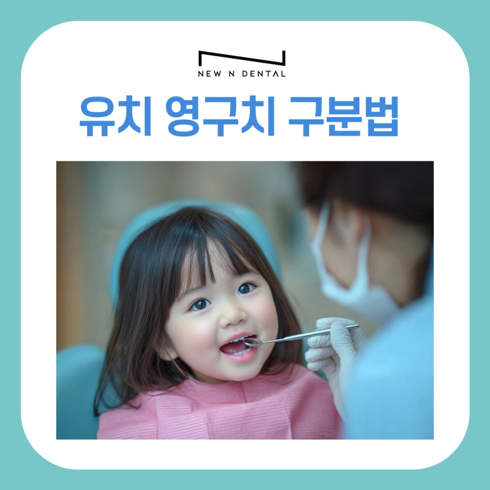 Gangnam Station Dental Clinic: Loose Permanent Teeth, How to Tell Baby Teeth from Permanent Teeth image 2