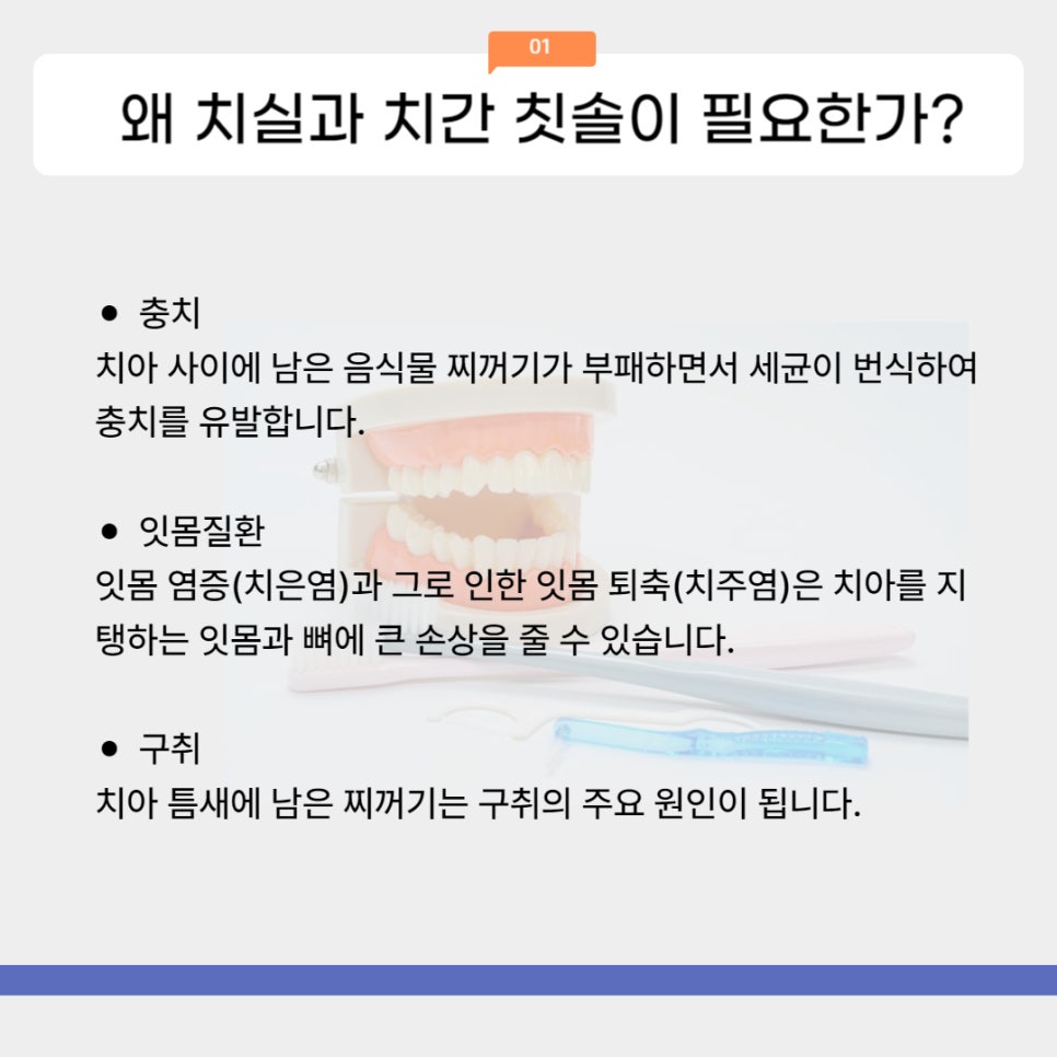 치실과 치간 칫솔 올바르게 사용하기 관련 이미지 3