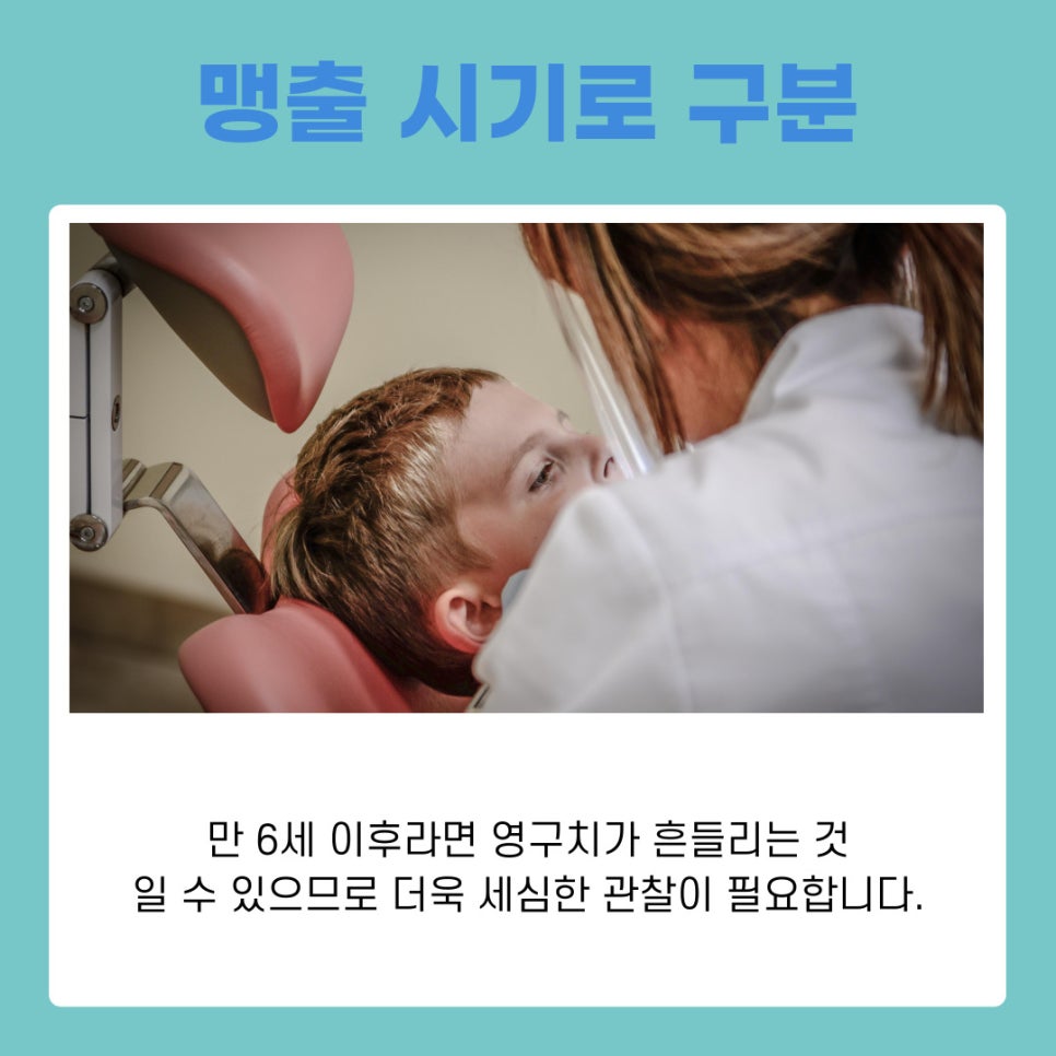 Gangnam Station Dental Clinic: Loose Permanent Teeth, How to Tell Baby Teeth from Permanent Teeth image 3