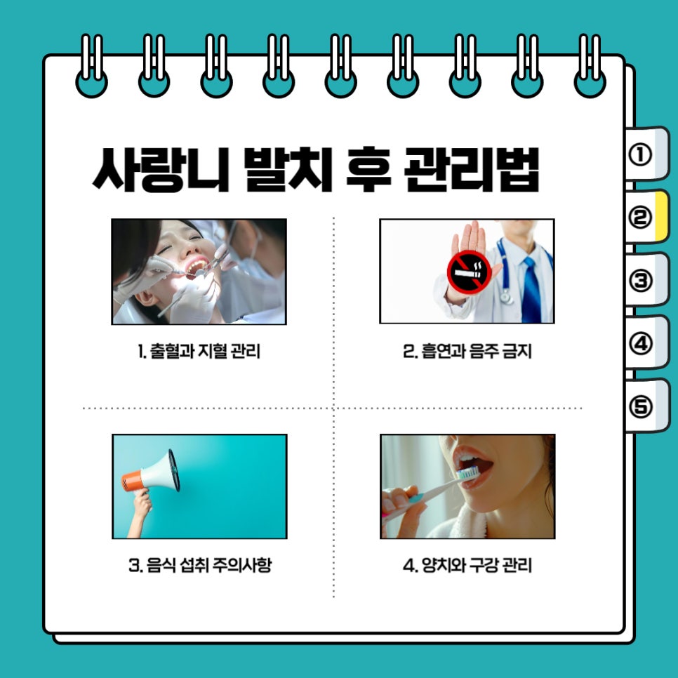 사랑니 발치 전 후 관리법 꿀팁 관련 이미지 3