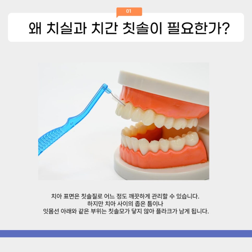 치실과 치간 칫솔 올바르게 사용하기 관련 이미지 2