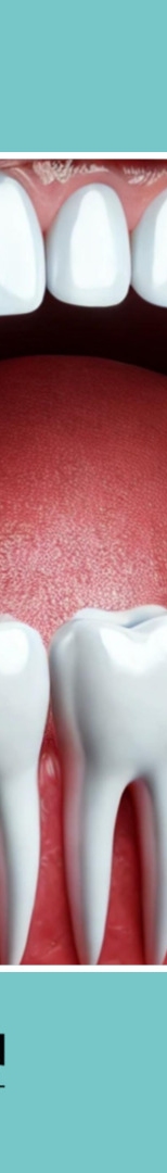 논현역치과 구강건조증 원인과 증상, 치료법 정리 관련 이미지 14