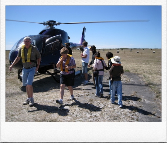 Melbourne in February 2008 image 6