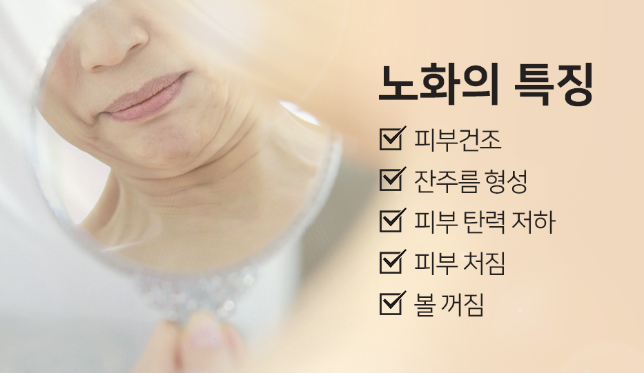 노화를 늦추는 방법과 안면거상술 관련 이미지 1