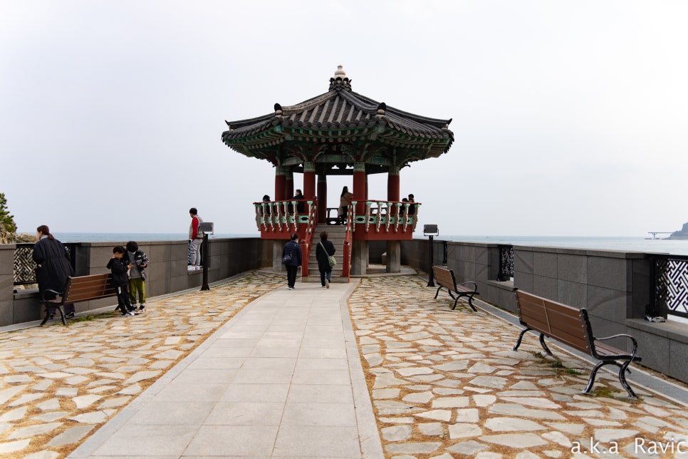 2023년 봄을 맞이하러 찾은 부산... 흰여울 문화마을과 스카이캡슐 관련 이미지 30