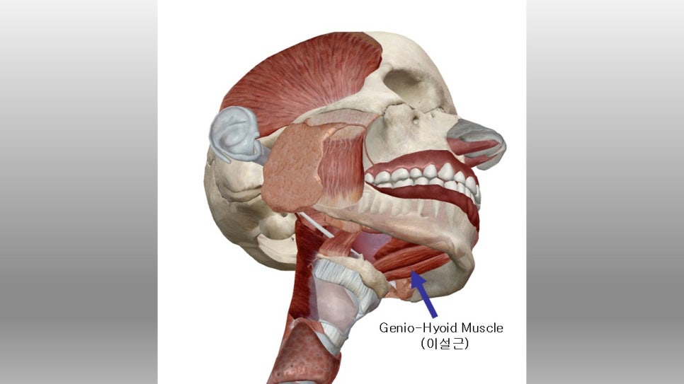 입체적인 옆라인의 완성, 무턱과 이중턱을 동시에 해결하는 방법 관련 이미지 23
