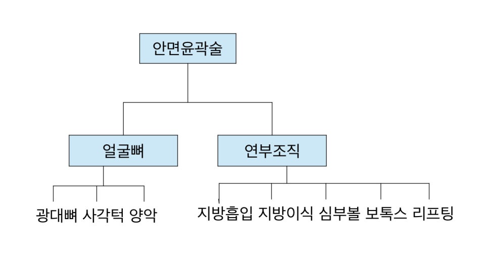 A General Understanding of Facial Contouring Surgery image 3
