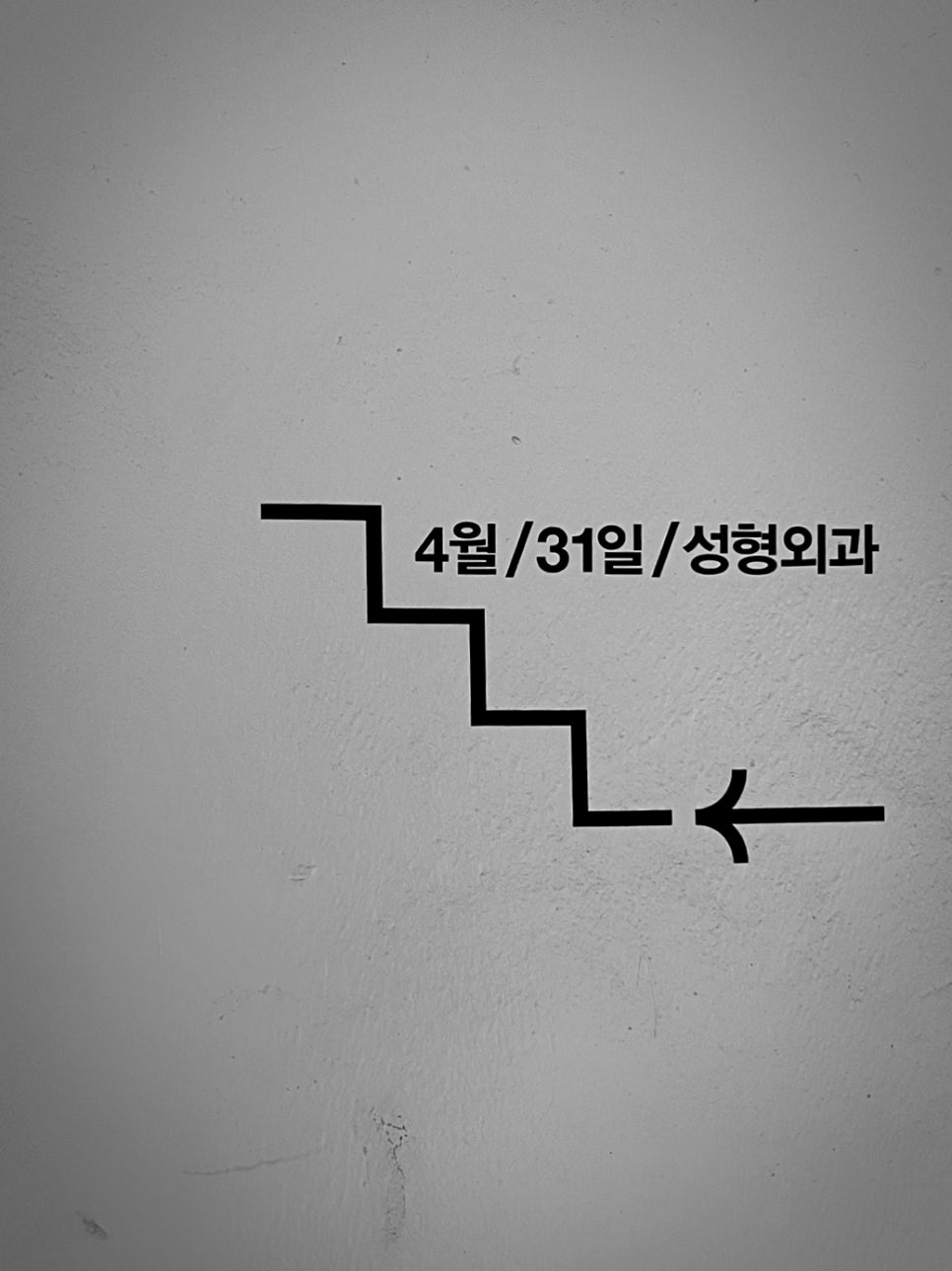 [4/31] April 31 Plastic Surgery / January / Diary image 1