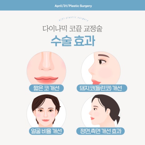 [코성형] 들창코,돼지코 고민이라면? 관련 이미지 9
