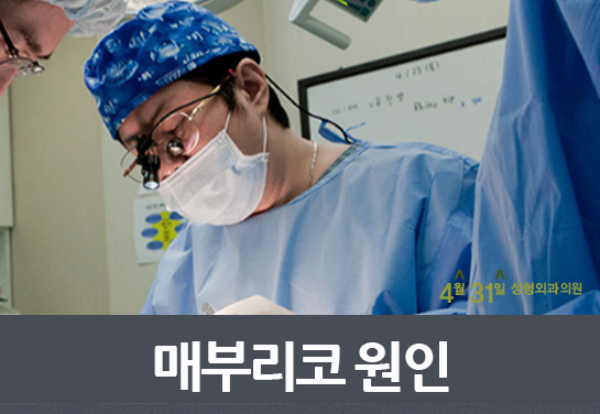 매부리코교정 확실하게 4월31일성형외과에서 관련 이미지 2