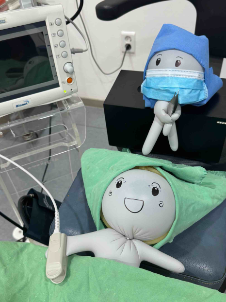 [4/31] April 31 Plastic Surgery / February / Diary image 6